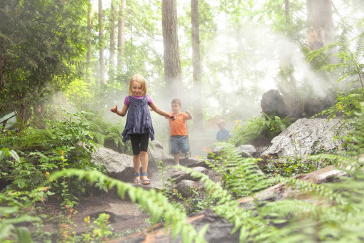 Cliffwalk-Bridge-Vancouver-British-Columbia - Children play in the forest at Capilano Suspension Bridge Park in Vancouver, British Columbia.