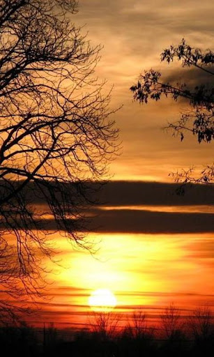 免費娛樂App|300 Free Sunset Pictures App|阿達玩APP