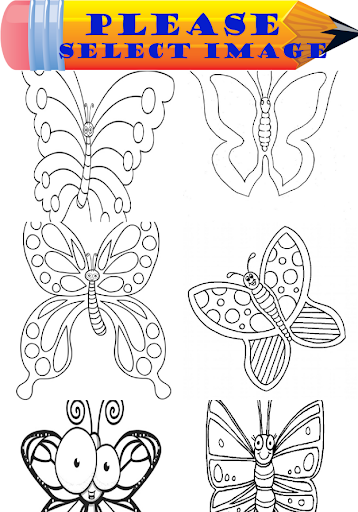 Butterfly Coloring Book