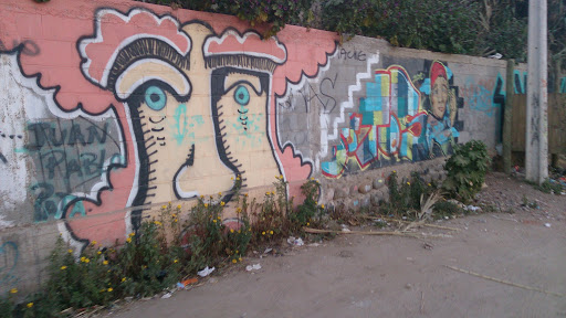 Mural Afro