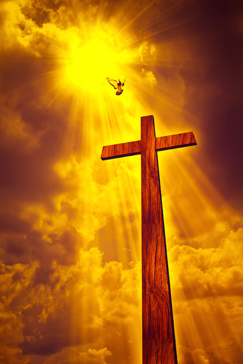 Android application Holy Bible King James Version screenshort