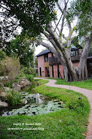 Buono Bella 義大利餐廳