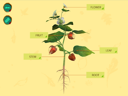Arloon Plants(圖6)-速報App