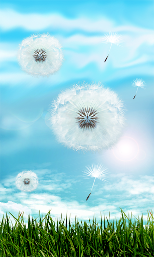 Blue Sky Dandelion HD