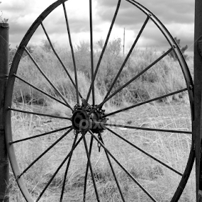 Gate by Leona St.Louis - Black & White Landscapes