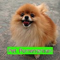 Pet Pomeranian logo