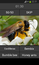 Guess the insect poster 5