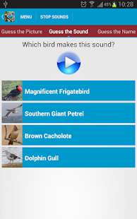 South American Birds Free(圖5)-速報App