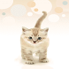 Kitty Wag Live Wallpaper
