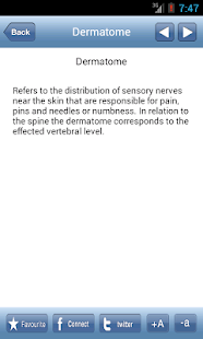 Spine Glossary Screenshots 3