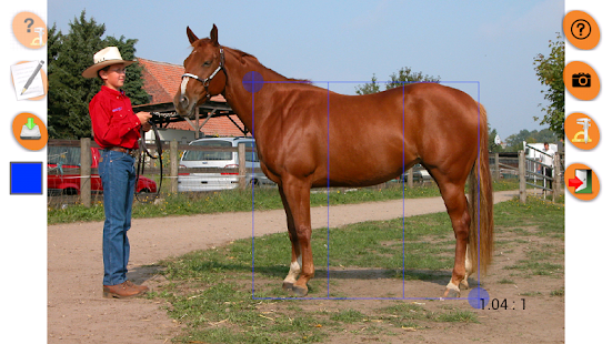 Horse Conformation Screenshots 8