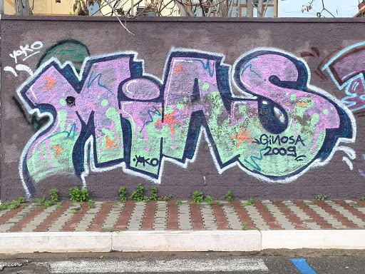 MiAS Grafitti