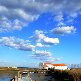 by Maria Ferreira - Landscapes Waterscapes