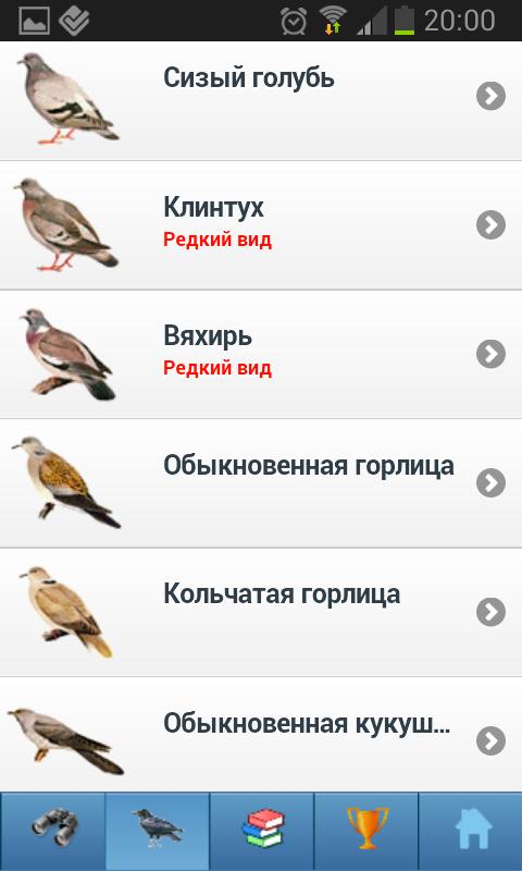 EcoGuide: Russian Birds Screen 3