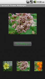 How to mod Fantastic Flower Wallpaper 1.2 mod apk for laptop