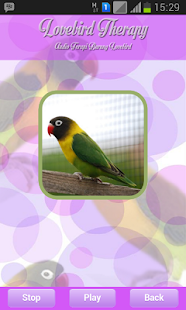 How to mod Lovebird Therapy 1.1 unlimited apk for bluestacks
