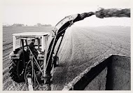 Landbouwcombinatie Finsterwolde