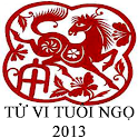 BÓI TỬ VI TUỔI NGỌ 2013 logo