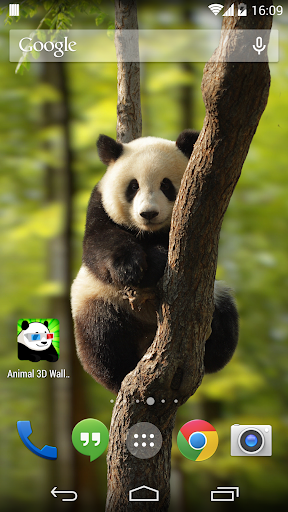 Animals 3D Wallpapers