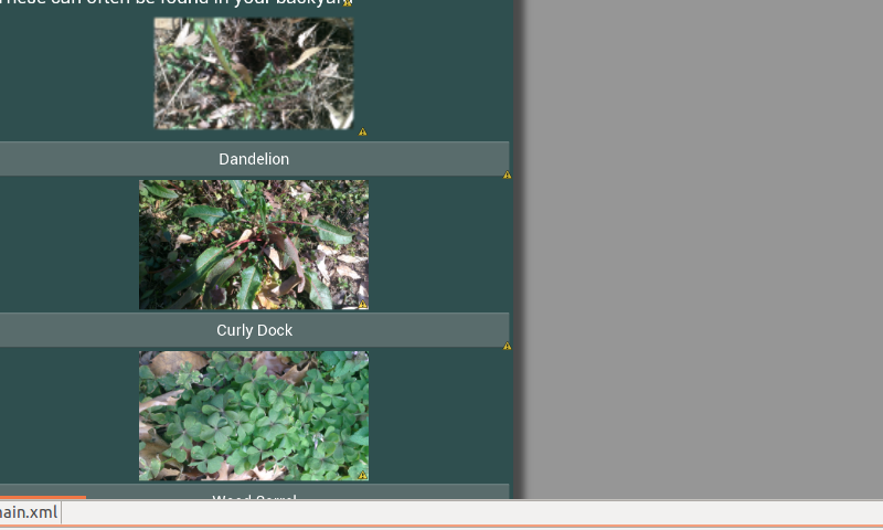 Edible Wild Plant Guide Screen 3