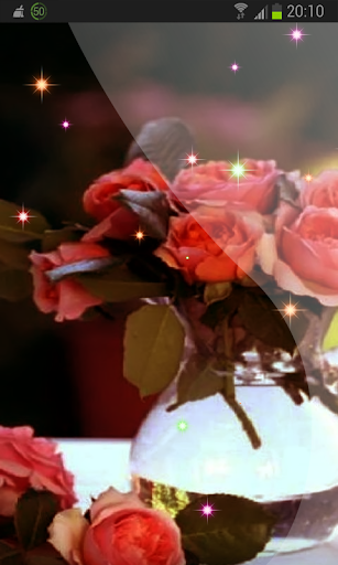 Flowering Roses Wallpaper