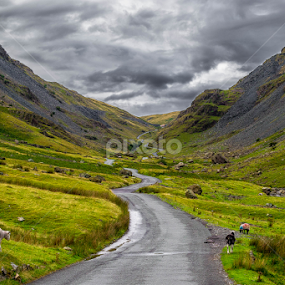 Lake District - Honister Pass by Lukas Proszowski - Landscapes Mountains & Hills