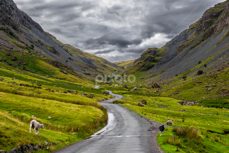Lake District - Honister Pass by Lukas Proszowski - Landscapes Mountains & Hills