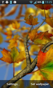Autumn Leaves in HD Gyro 3D Parallax Wallpaper(圖3)-速報App
