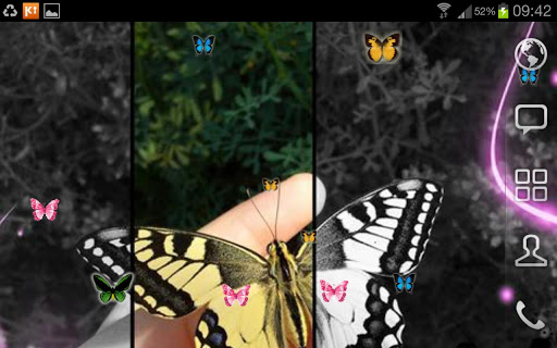 Butterfly LWP PRO