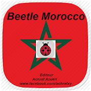 Beetle Morocco Game  Icon