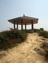 Blue LL Rest Point