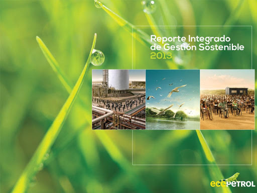 Ecopetrol 2013