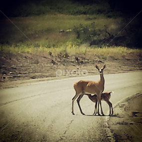 by Alannah Melton - Uncategorized All Uncategorized