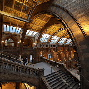 big arch at NHM by Almas Bavcic - Buildings & Architecture Public & Historical