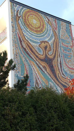 Mozaika Na Oazie