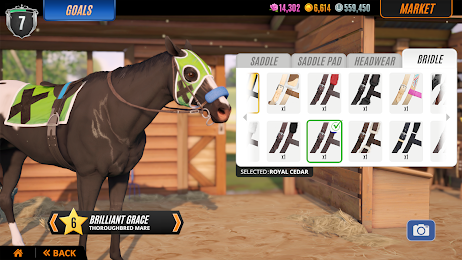 Rival Stars Horse Racing 6