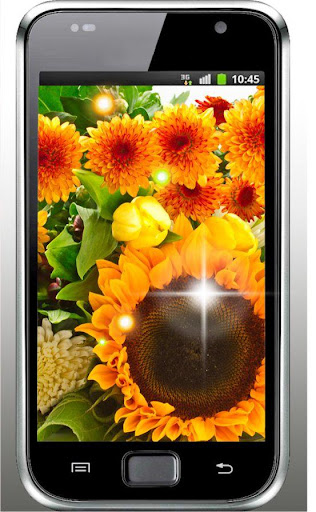 Sunflowers HD Live Wallpaper