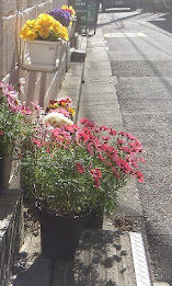 SH3D写真集 Vol.2 poster 3