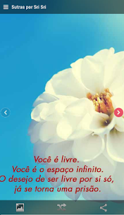 Free Trechos de sabedoria APK for Android