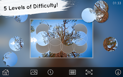 Venn Trees: Circle Jigsaw poster 16