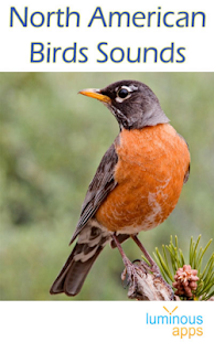 North American Birds Sounds(圖1)-速報App