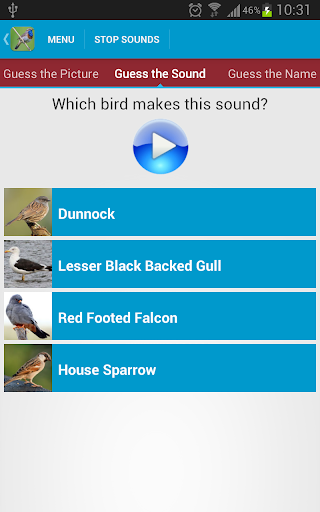 UK Birds Sounds  screenshots 5