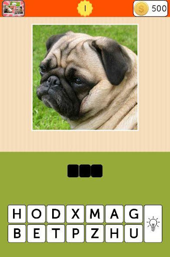 Dogs Quiz