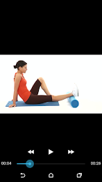 Great Limerick Run poster 4