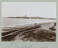 Paard en wagen op strand