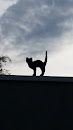 Cat on a Roof