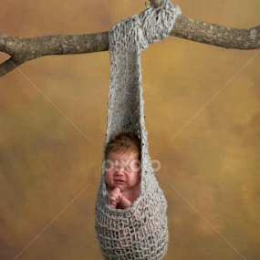 Hangin' by Kelly Goode - Babies & Children Babies