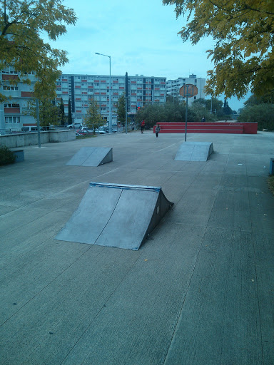 Skate Ramps