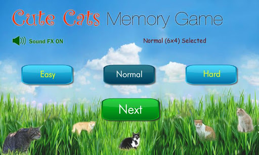 Cute Cats Memory Game