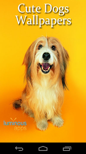 Cute Dogs Live Wallpapers(圖1)-速報App